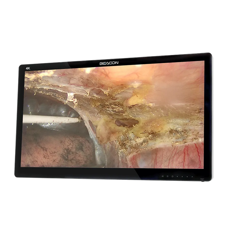 Monitor de grado médico (S3181P)