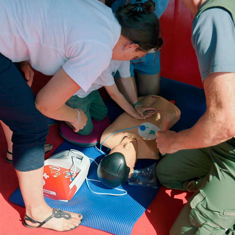 FRED PA-1 TRAINER - Imagen 2